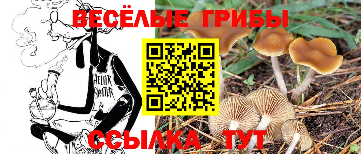 Галлюциногенные грибы ЛСД Похвистнево